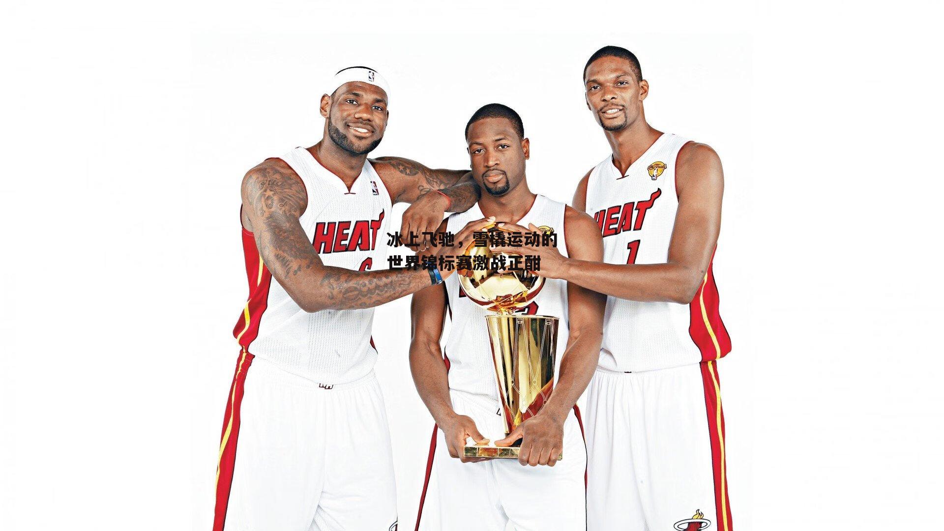 冰上飞驰,雪橇运动的世界锦标赛激战正酣